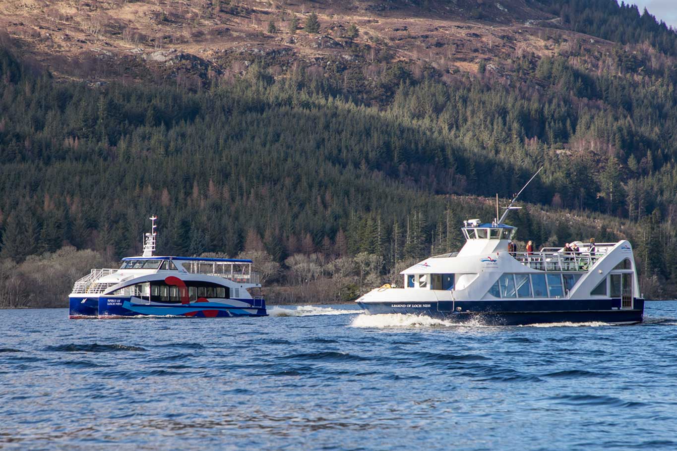 Cruises on a lake